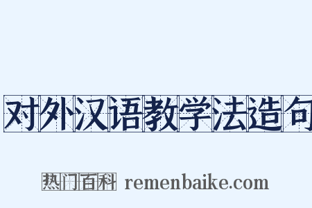 对外汉语教学法造句是什么意思的图片